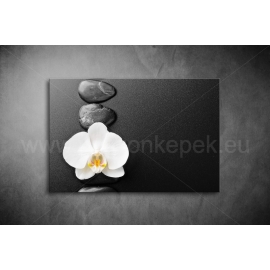Orchidea Vászonkép 002