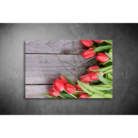 Piros Tulipánok Vászonkép 017