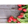 Piros Tulipánok Vászonkép 017