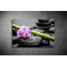 Orchidea kövekkel vászonkép 023