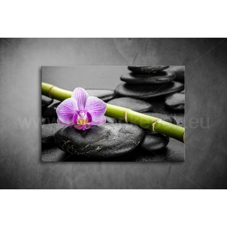 Orchidea kövekkel vászonkép 023