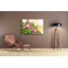 Orchidea Vászonkép 024