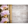 Orchidea Vászonkép 030