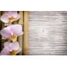 Orchidea Vászonkép 030