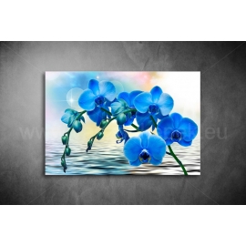 Kék Orchidea Vászonkép 041