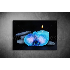 Kék Orchidea Vászonkép 066