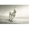 Fehér Ló Vászonkép 011