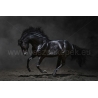 Fekete Ló Vászonkép 022