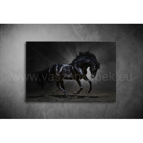 Fekete Ló Vászonkép 026
