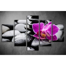 Többrészes Orchidea, Lávakövek vászonkép 007 - (választható formák)