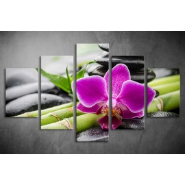 Többrészes Orchidea vászonkép 008 - (választható formák)