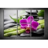 Többrészes Orchidea vászonkép 008 - (választható formák)