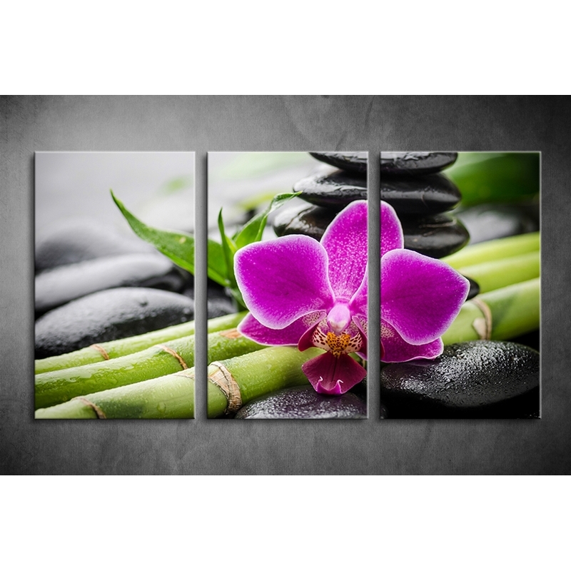 Orchidea képek falra