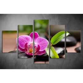 Többrészes Orchidea vászonkép 011 - (választható formák)
