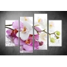 Többrészes Orchidea vászonkép 012 - (választható formák)