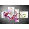 Többrészes Orchidea vászonkép 012 - (választható formák)