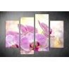 Többrészes Orchidea vászonkép 019 - (választható formák)