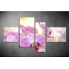 Többrészes Orchidea vászonkép 019 - (választható formák)