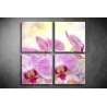 Többrészes Orchidea vászonkép 019 - (választható formák)