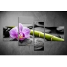 Többrészes Orchidea, Lávakövek vászonkép 023 - (választható formák)