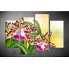 Többrészes Orchidea vászonkép 024 - (választható formák)