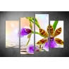 Többrészes Orchidea vászonkép 039 - (választható formák)