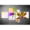 Többrészes Orchidea vászonkép 039 - (választható formák)