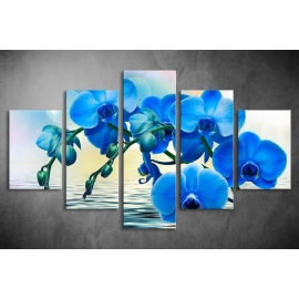 Többrészes Kék Orchidea vászonkép 041 - (választható formák)