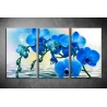 Többrészes Kék Orchidea vászonkép 041 - (választható formák)