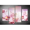 Többrészes Rózsaszín Orchideák vászonkép 067 - (választható formák)