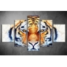 Többrészes Tigris vászonkép 050 - (választható formák)