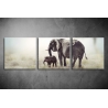 Többrészes Elefántok vászonkép 040 - (választható formák)