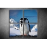 Többrészes Pingvines vászonkép 062 - (választható formák)