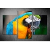 Többrészes Papagájos vászonkép 073 - (választható formák)