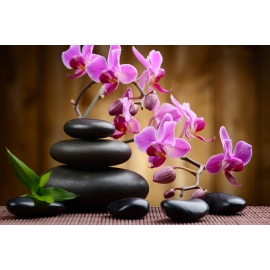 Spa és Feng Shui vászonképek